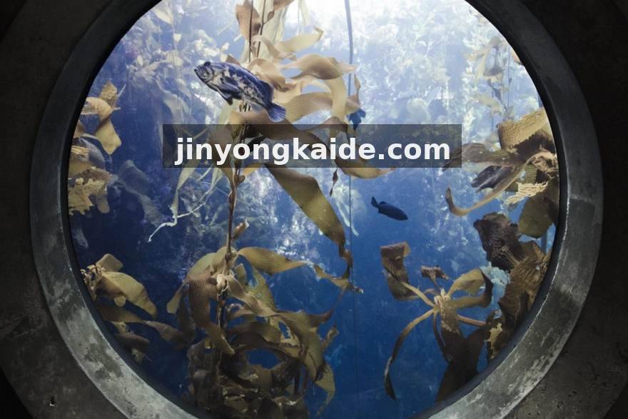 版本前瞻：新赛季中期节奏变化下，哪些位置最容易吃到红利